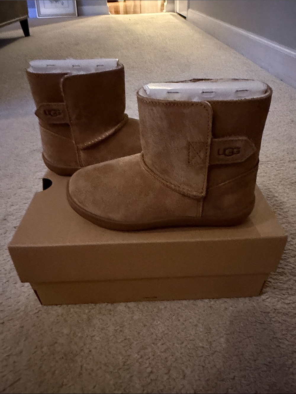 UGG Kids Chestnut Suede Short Boots